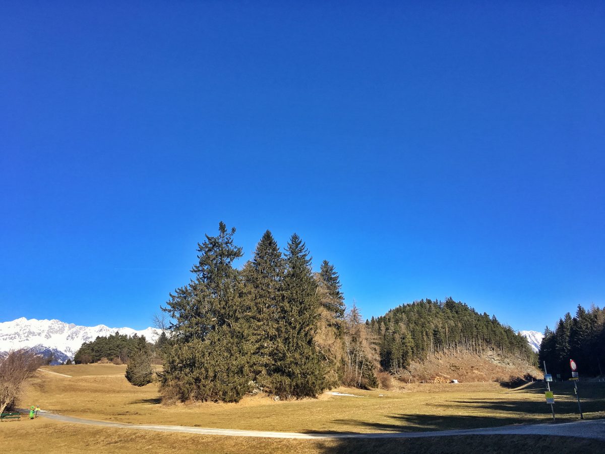 Goldbichl Igls