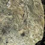 Schalenstein Viggar Hochleger