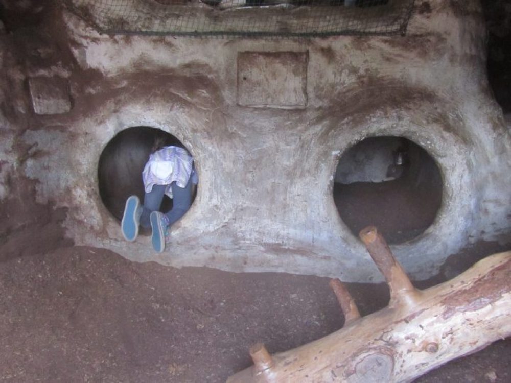 caverna orso bambini Alpenzoo Innsbruck