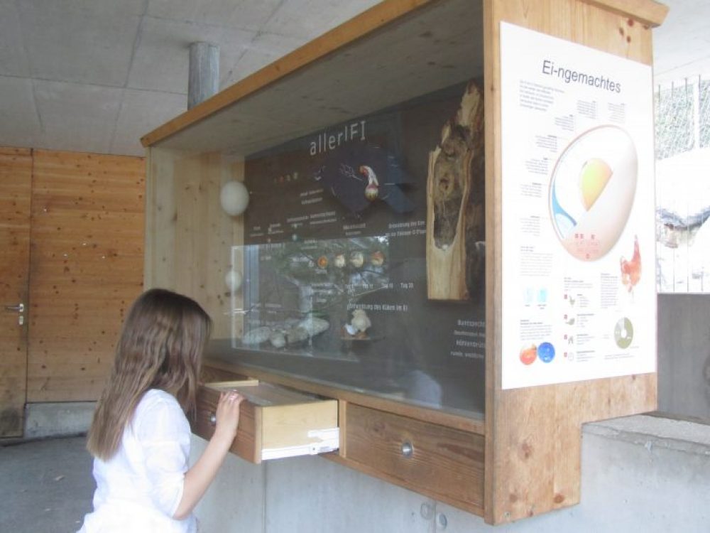 scheda didattica parco volatili bambini Alpenzoo Innsbruck