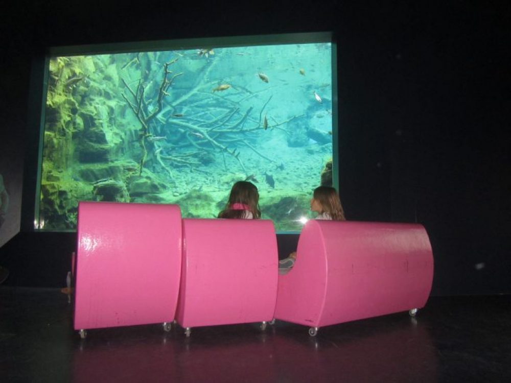 Finestra acquario Alpenzoo Innsbruck