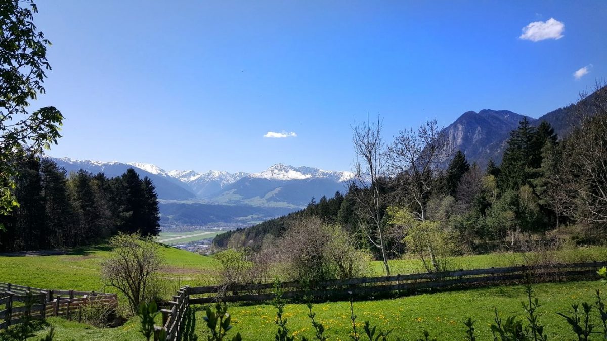 die wunderbare Aussicht vom Planötzenhof aus