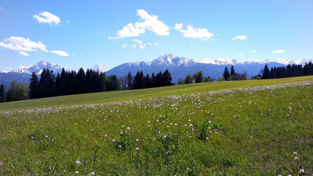 Aussicht vom Rechnehof aus