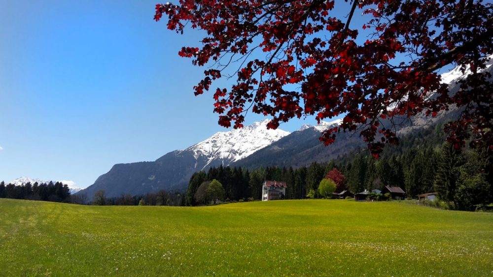 Aussicht vom Rechnehof aus