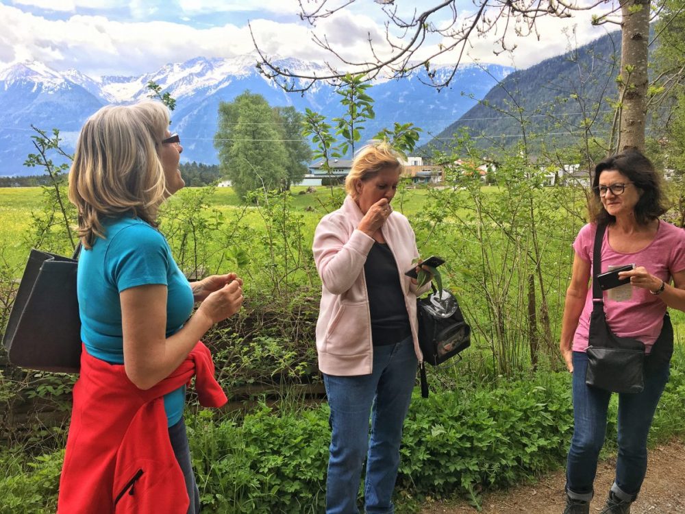Exkursion während dr Alpenkräutertage