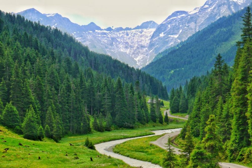 Blick ins Lüsenstal