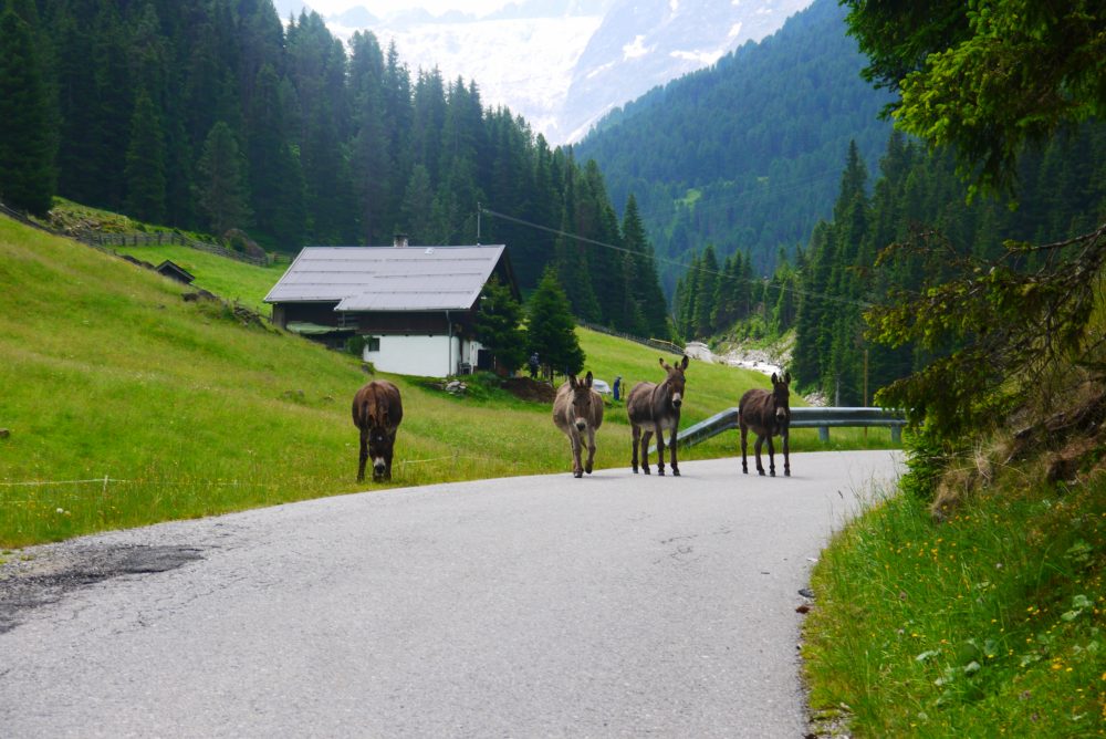 Rennrad Lüsenstal (5)