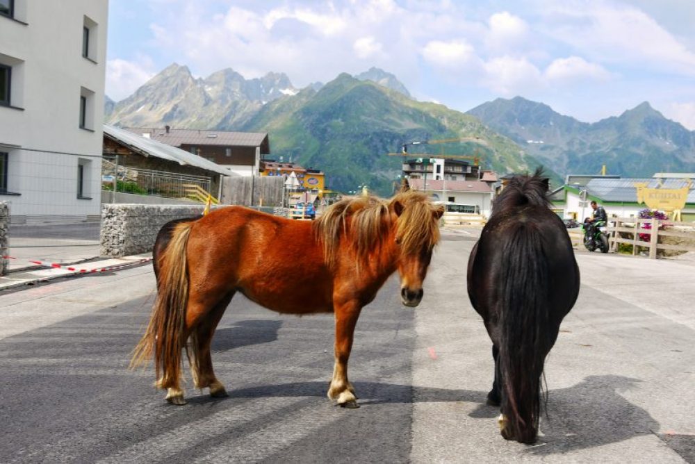Verkehrsinsel im Kühtai