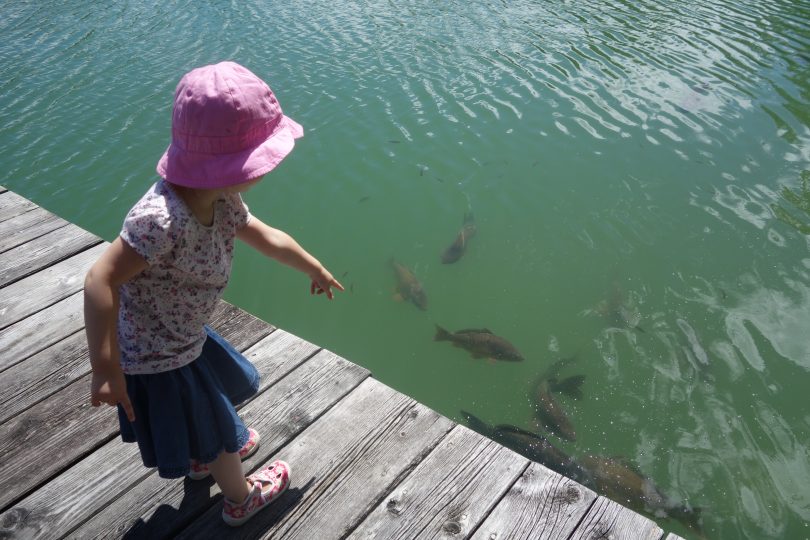 Lake swimming Innsbruck outdoor family child
