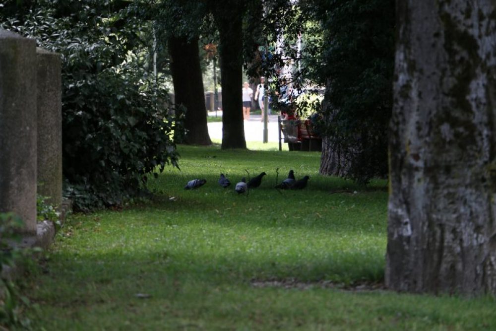 Waltherpark in St. Nikolaus - Hidden Places