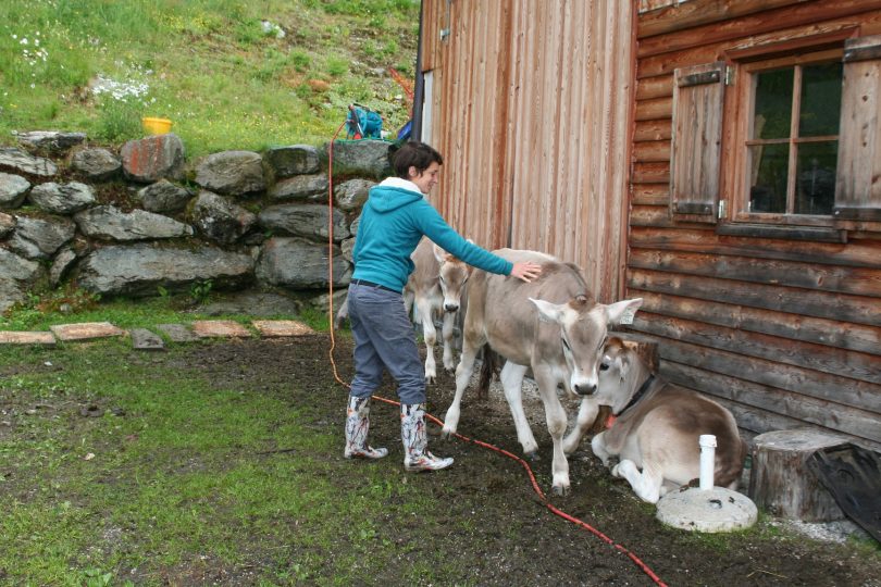 Die Arbeit ist nichts für Zartbesaitete. Dafür ist sie echt und ehrlich. Foto: Privat