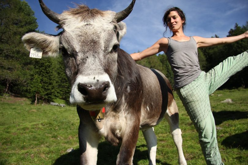 Zwischendurch bleibt aber doch auch Zeit für die ein oder andere Yoga-Einheit. Johanna und "Zirbe" sind da ein eingespieltes Team ... Foto: Privat