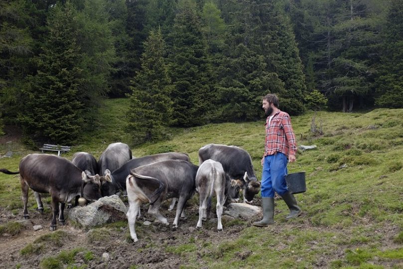 Johannes beim Salzen. Es gibt immer was zu tun. Foto: Privat