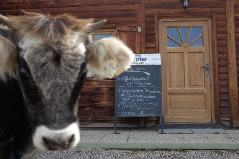 Wenn du die Hirten persönlich antreffen willst, geht das am besten Samstag und Sonntag ab ca. Mittag. Foto: Privat