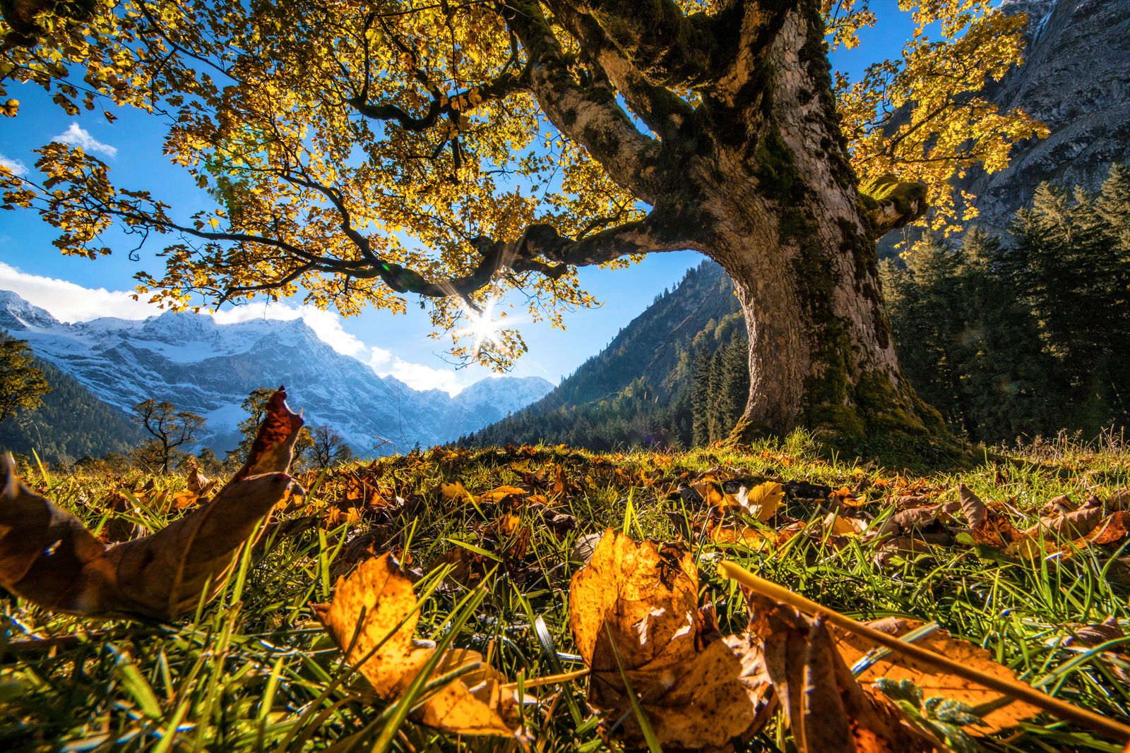 Herbst am Ahornboden - Karwendel - Eng