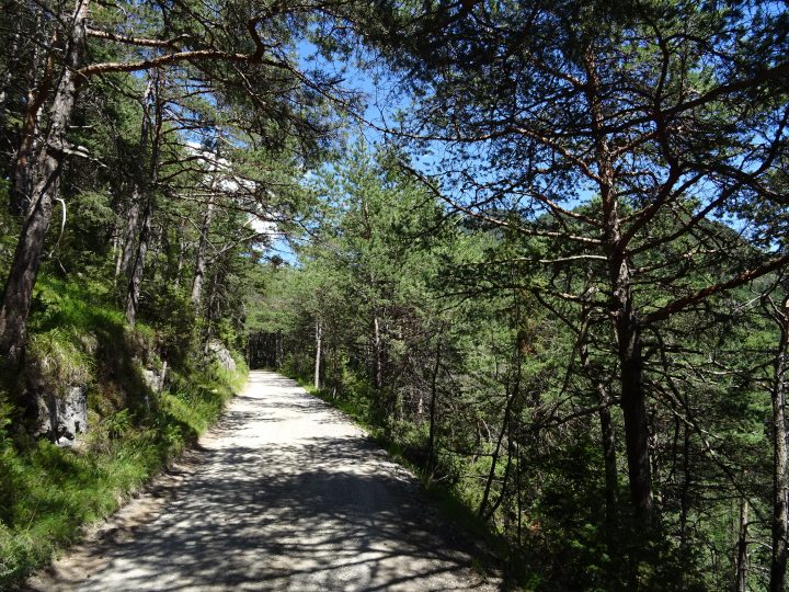 Mountainbiketour Brunntal Zirl