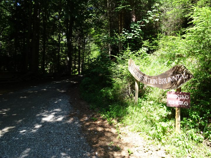 Mountainbiketour Brunntal Zirl Neue Magdeburger Hütte