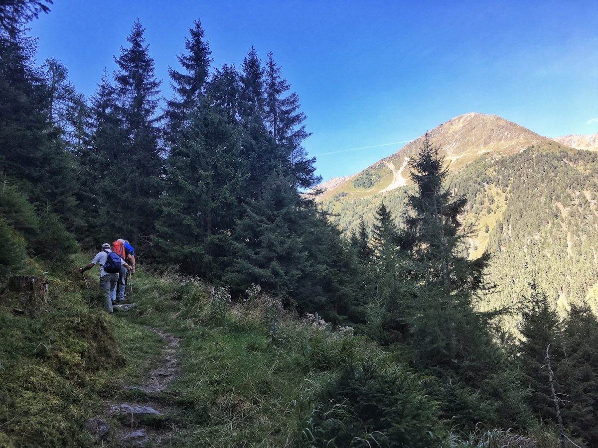 Aufsieg auf die Juifenalm Sommerweg auf die Juifenalm