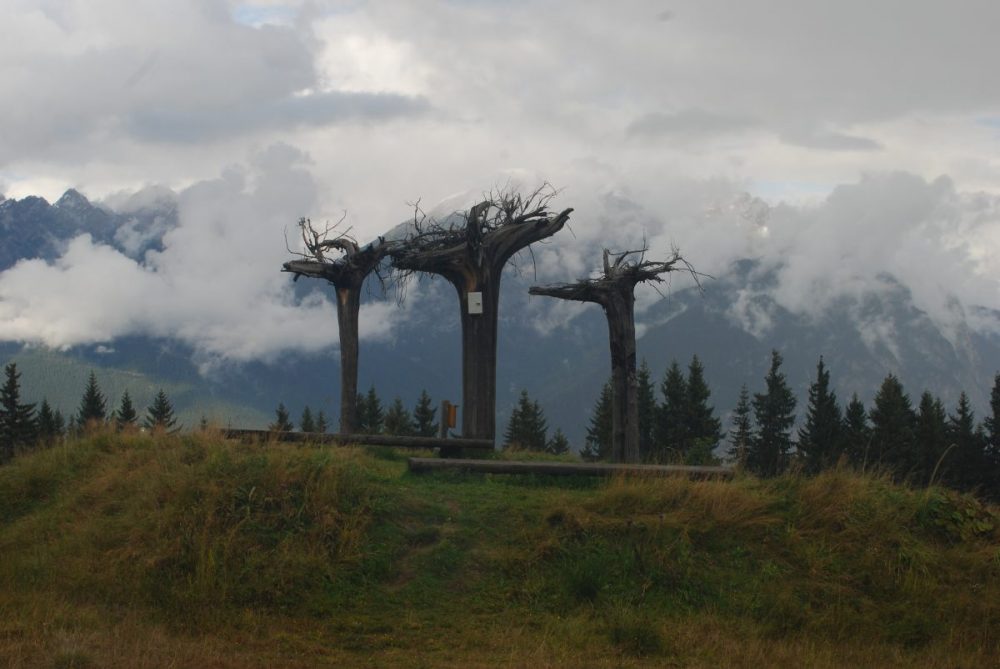 die 3 letzten Baumbarts