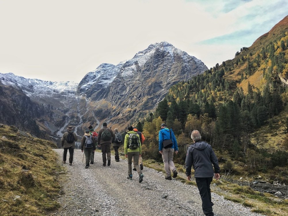 Lüsener Fernerboden - Wildbeobachtung Lüsens Wildbeobachtung, Hirschbrunft im Sellraintal in der Nähe von Innsbruck