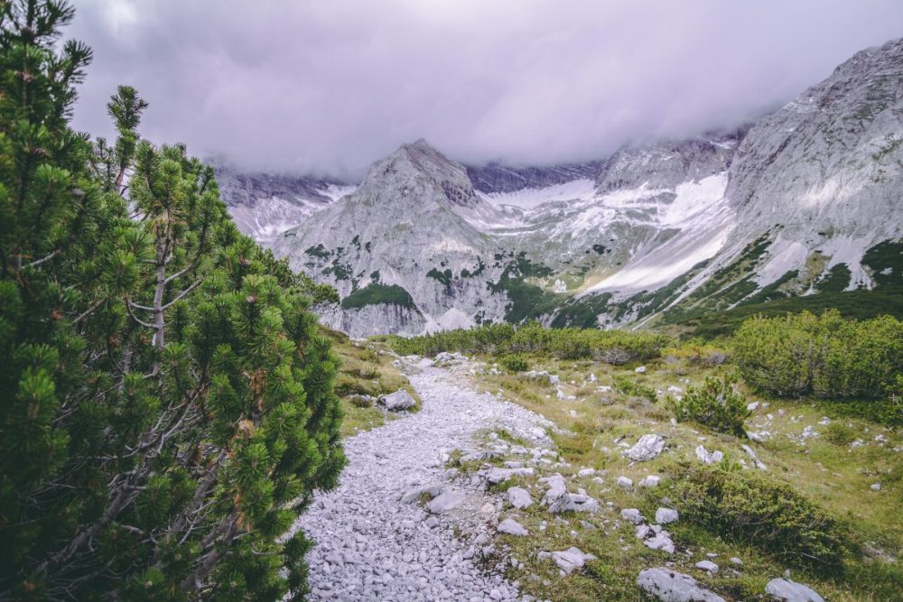 Latschen bei der Pfeishütte