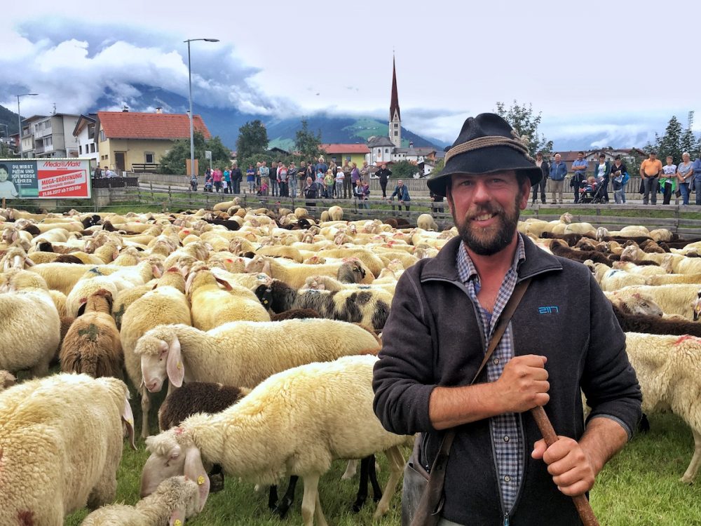 Thomas Brecher ist der Obmann des Schafzuchtvereins Axams.