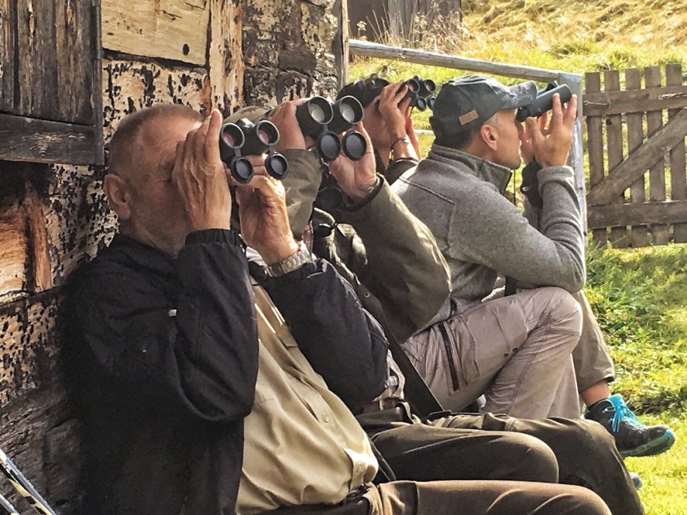 Qualitätsferngläser von Swarovski bei Wildbeobachtung im Lüsental