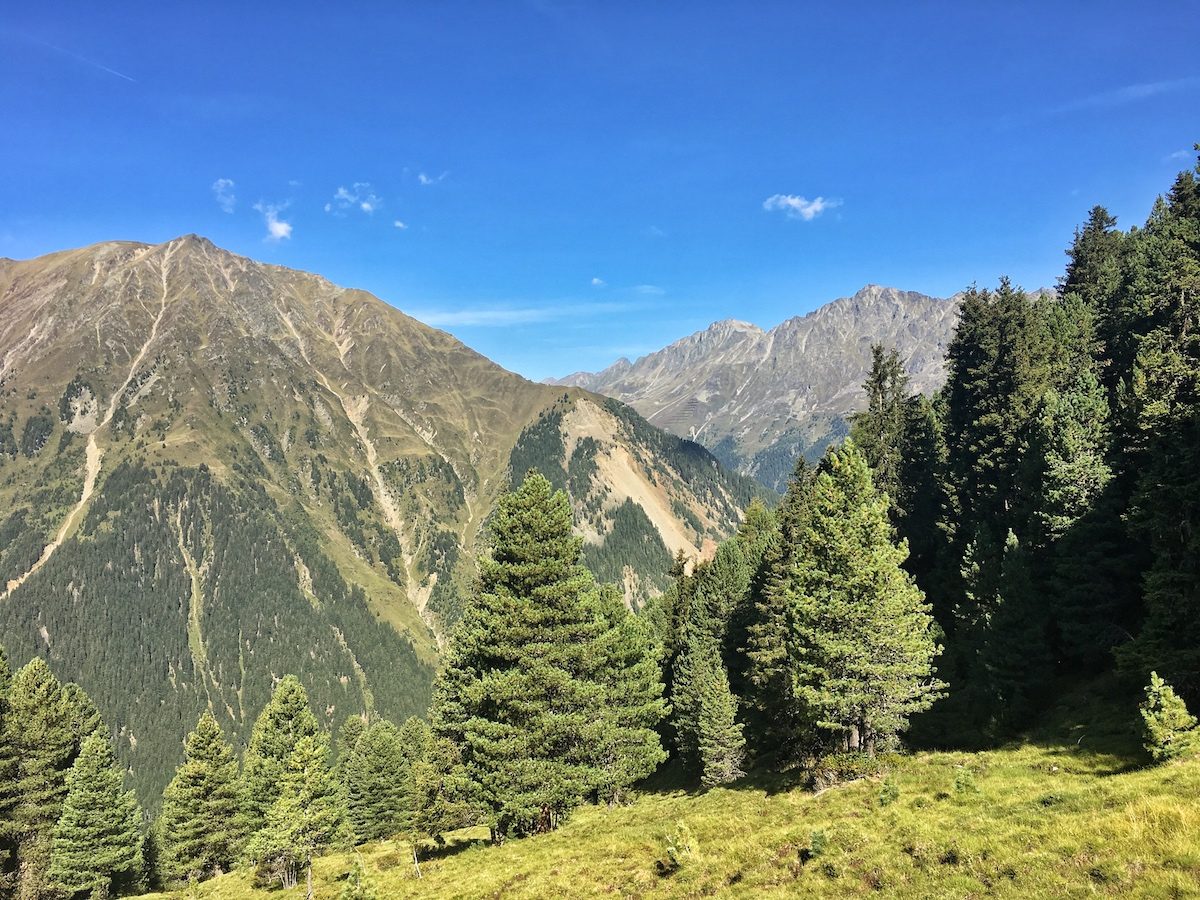 Zirbenwald, Juifenalm