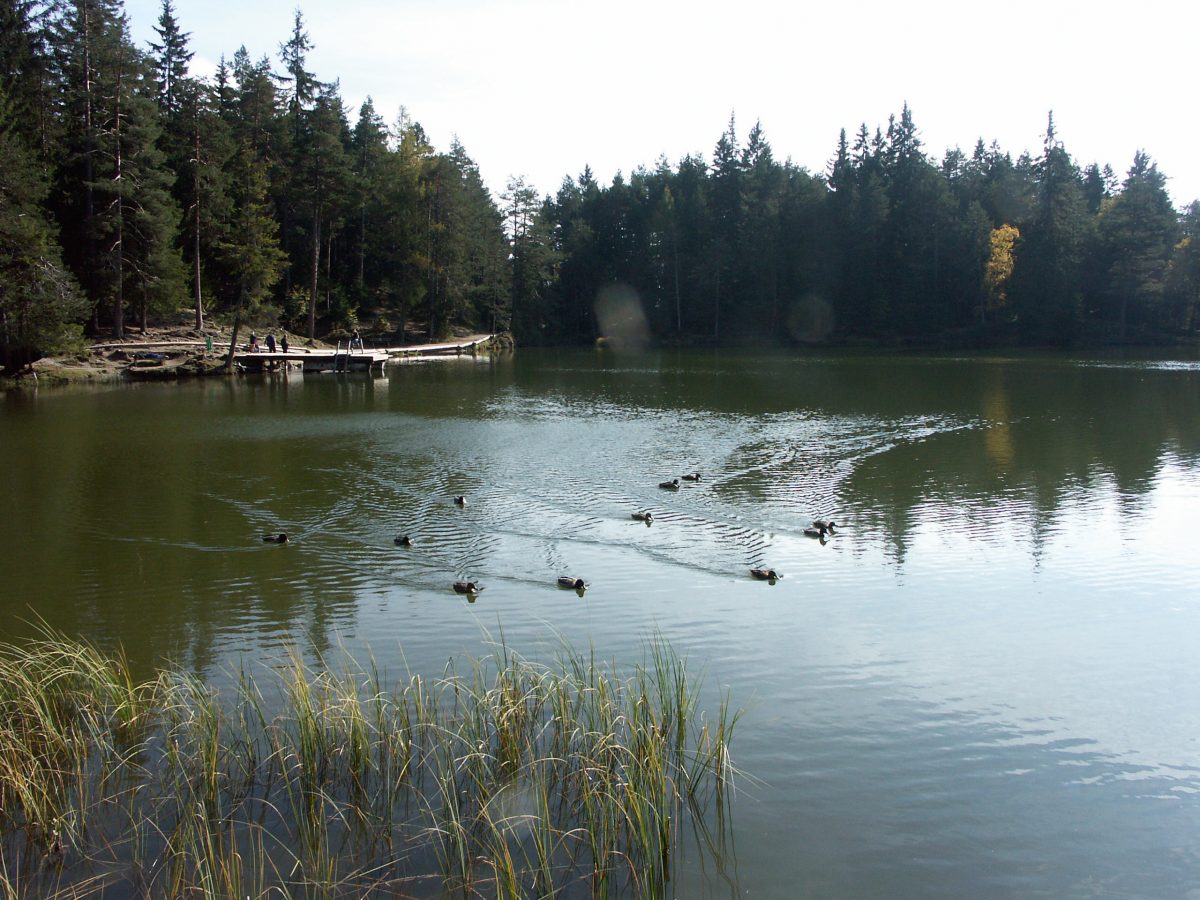 Möserer See © TVb Innsbruck/ Laichner