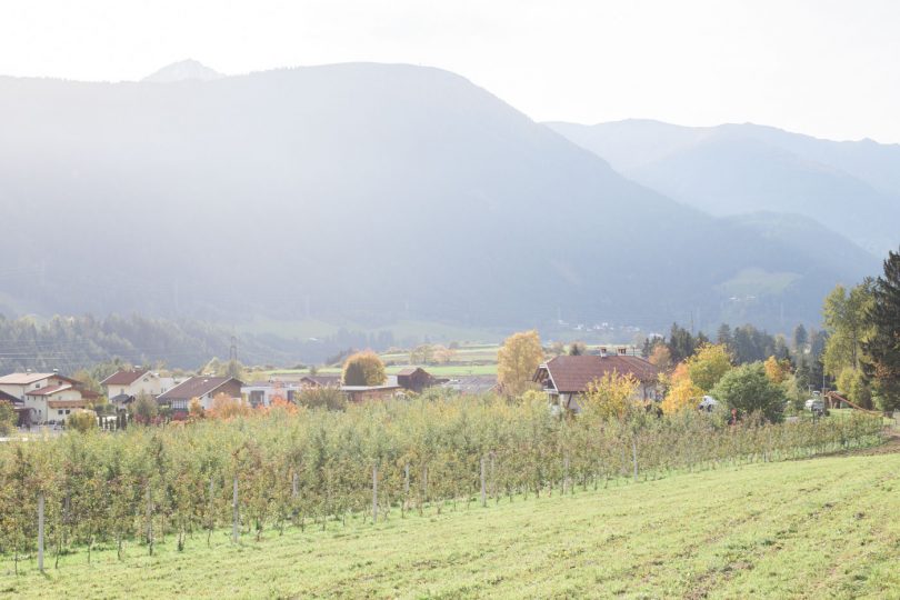 Blick über die Felder und auf den Hof.