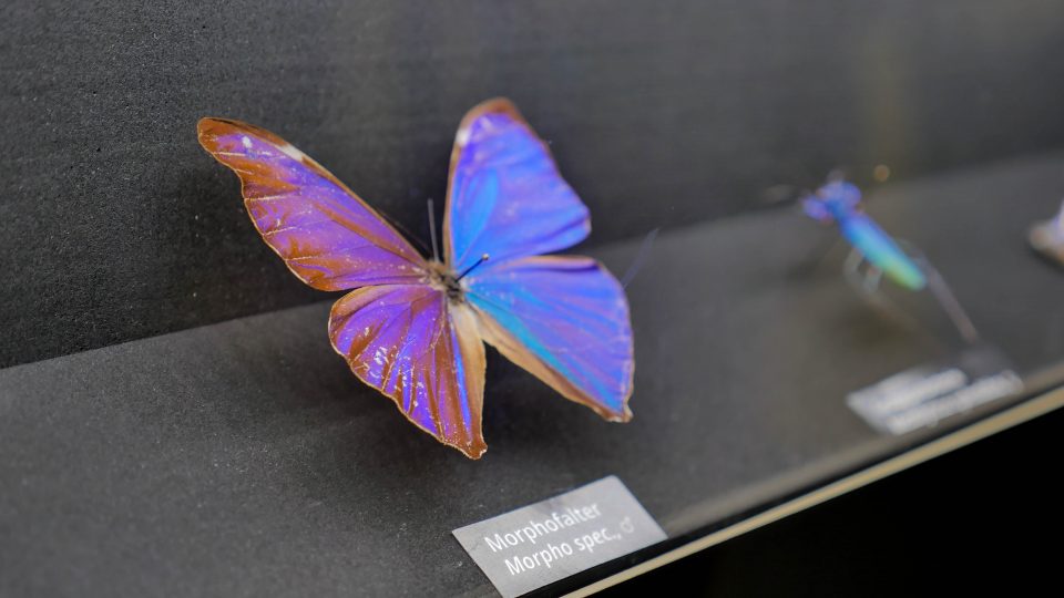 audioversum lange nacht der museen innsbruck science center