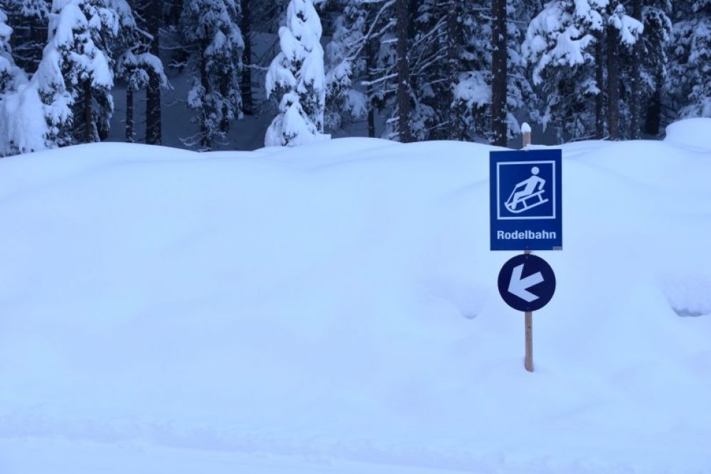 Die Rodelpartie kann von mehreren Ausgangspunkten gestartet werden – wahlweise ohne Fußmarsch oder mit. Foto: Kainz