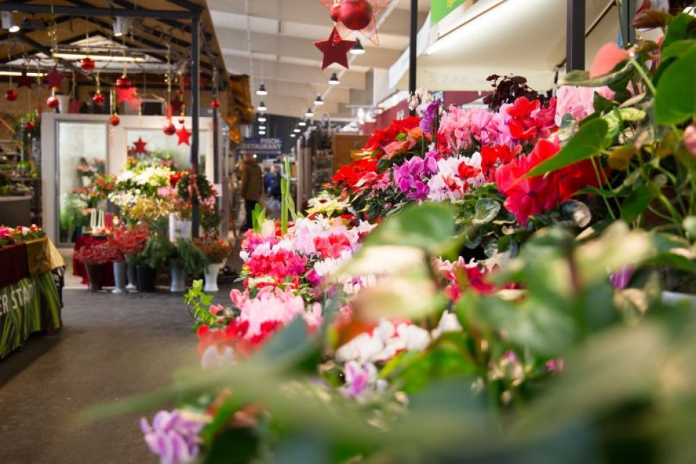 Blumen und Weihnachtsdeko.