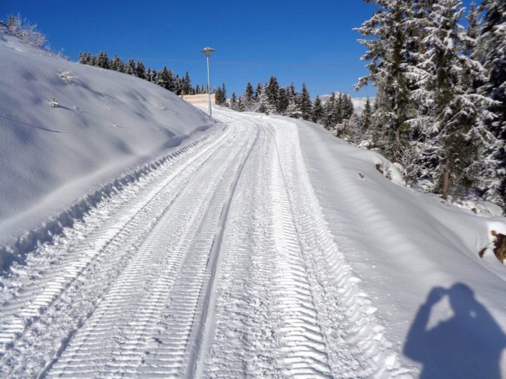 Das „Rangger Köpfl“ der Hausberg der Gemeinde Oberperfuss präsentiert sich bereits tiefwinterlich. Die Rodelbahn ist in bestem Zustand. Foto: Bergbahn Oberperfuss