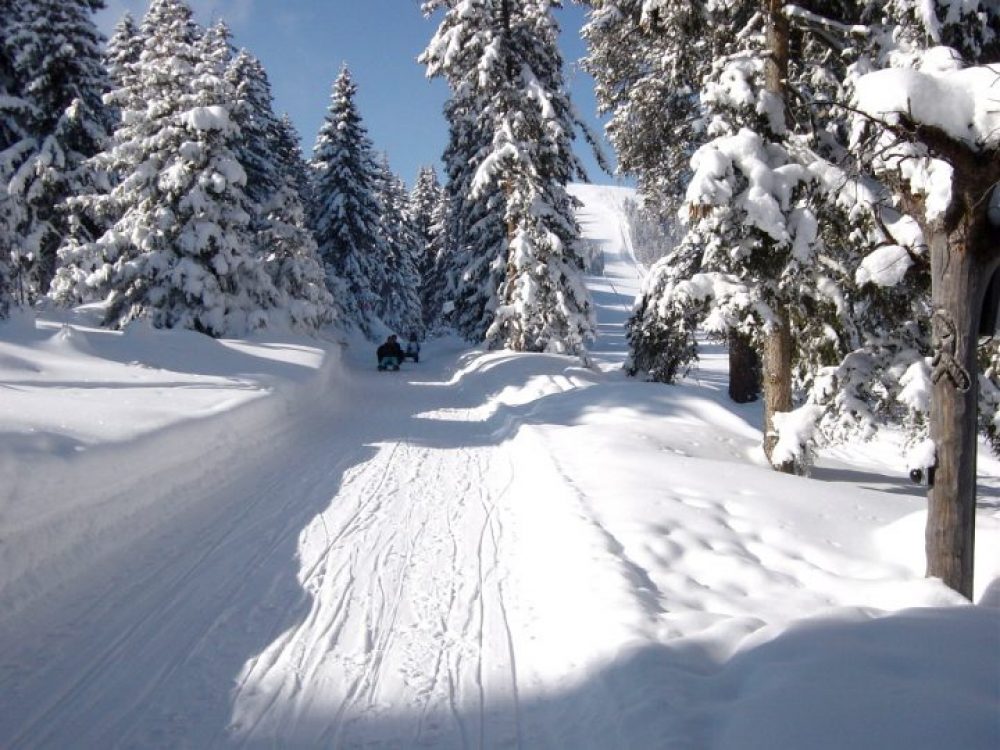 Bis Sulzstich ist die Rodelbahn eher flach, danach wird’s etwas steiler. Foto: Bergbahn Oberperfuss