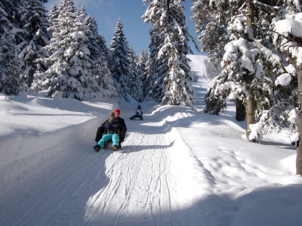 Oberperfuss ist unter anderem Heimat der längsten, beleuchteten Rodelbahn in Tirol. Foto: Bergbahn Oberperfuss