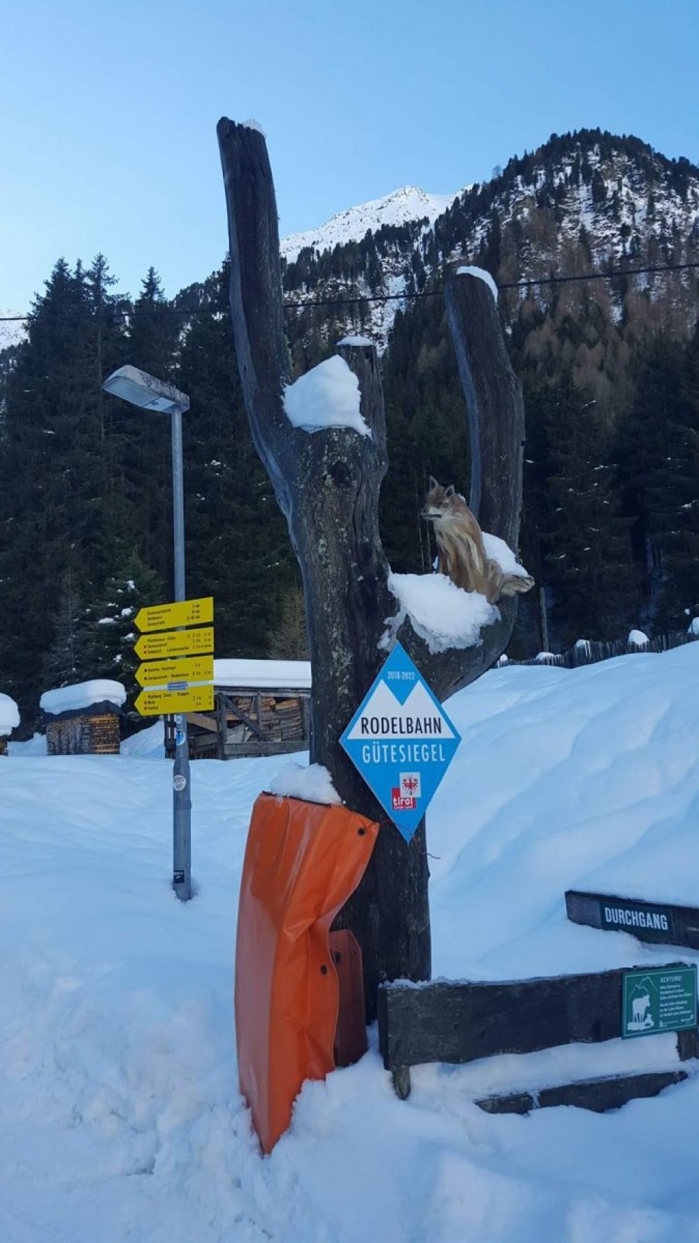 pista slittino Gleirschalm tirolo
