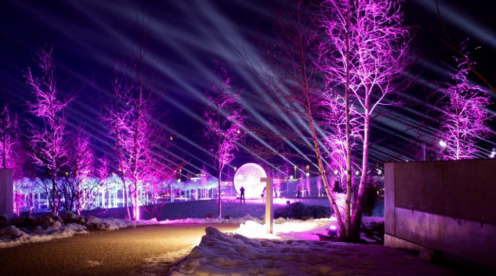 Magical Garden