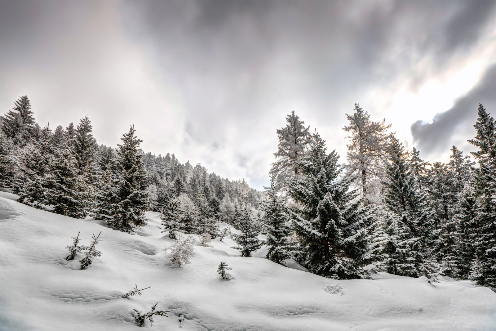 Winter in den Mieminger Bergen