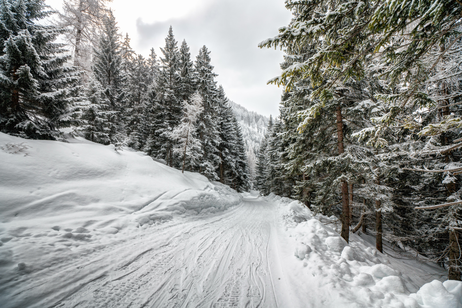 Rodelbahn Lehnberghaus