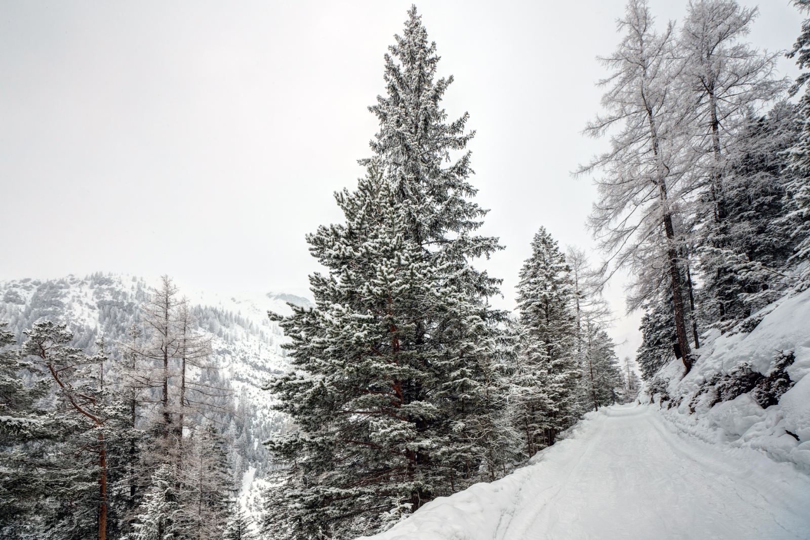 Weg zum Lehnberghaus