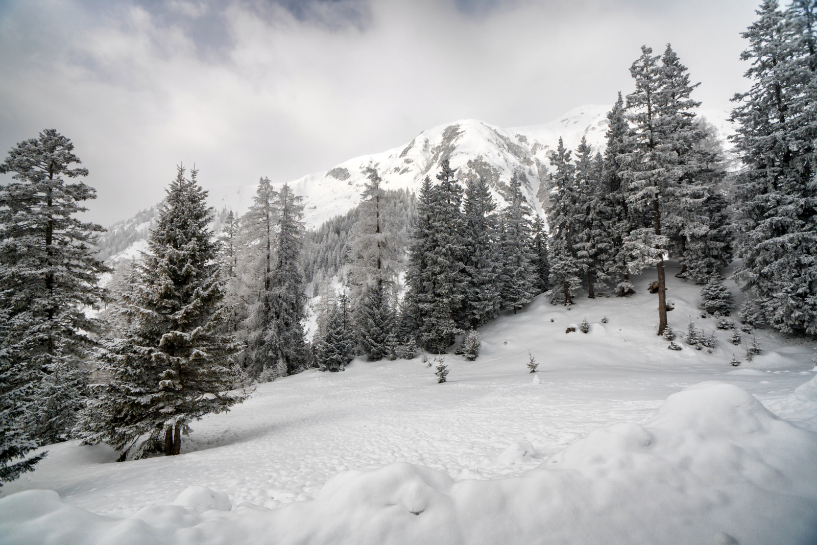 Wintertraum am Lehnberghaus
