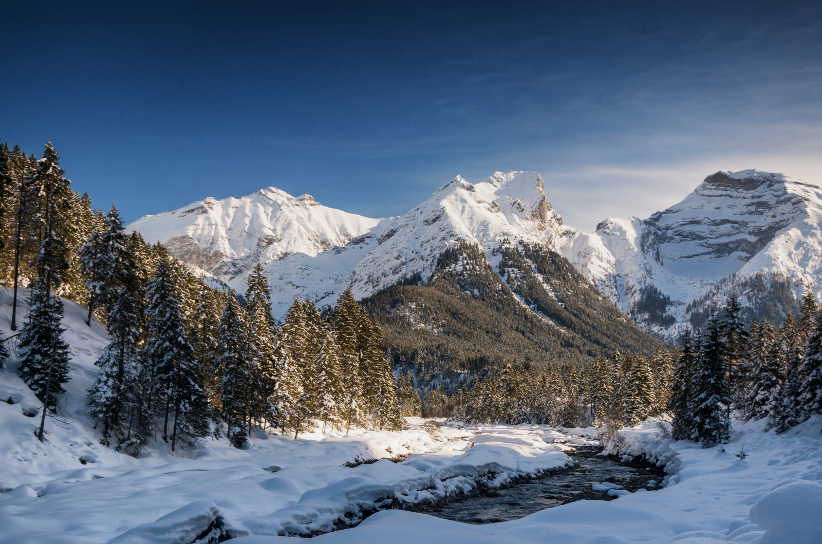 Schaufelspitze im Winter