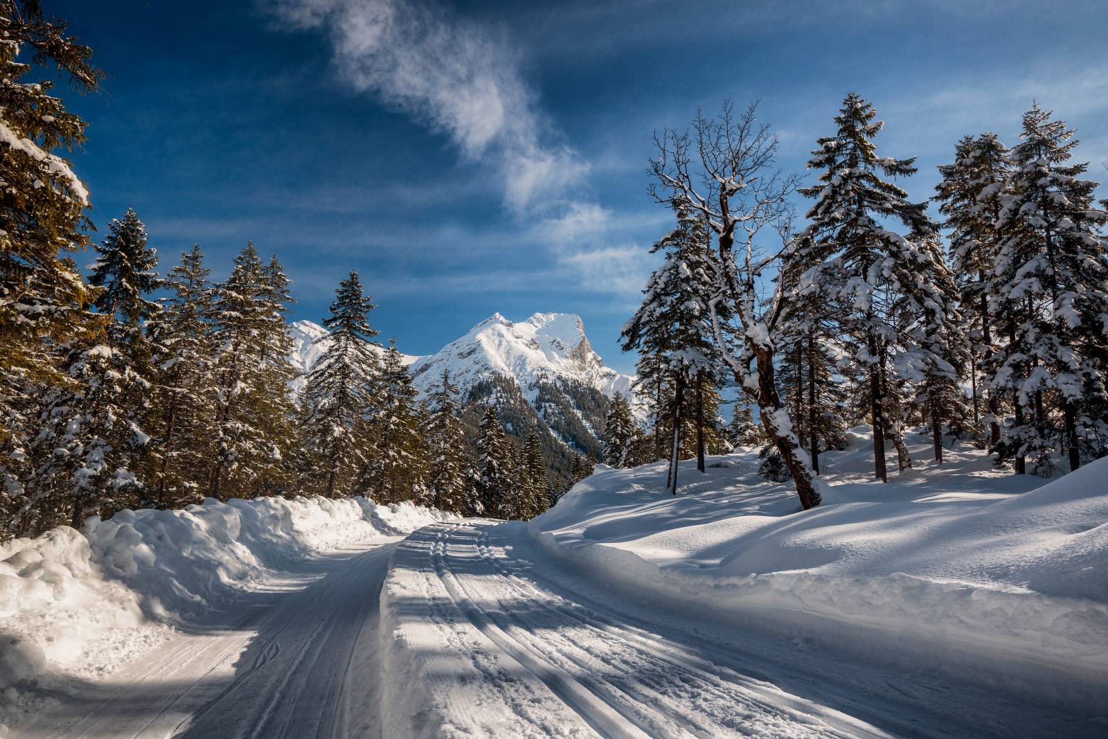 Winterwanderweg und Loipe in die Eng