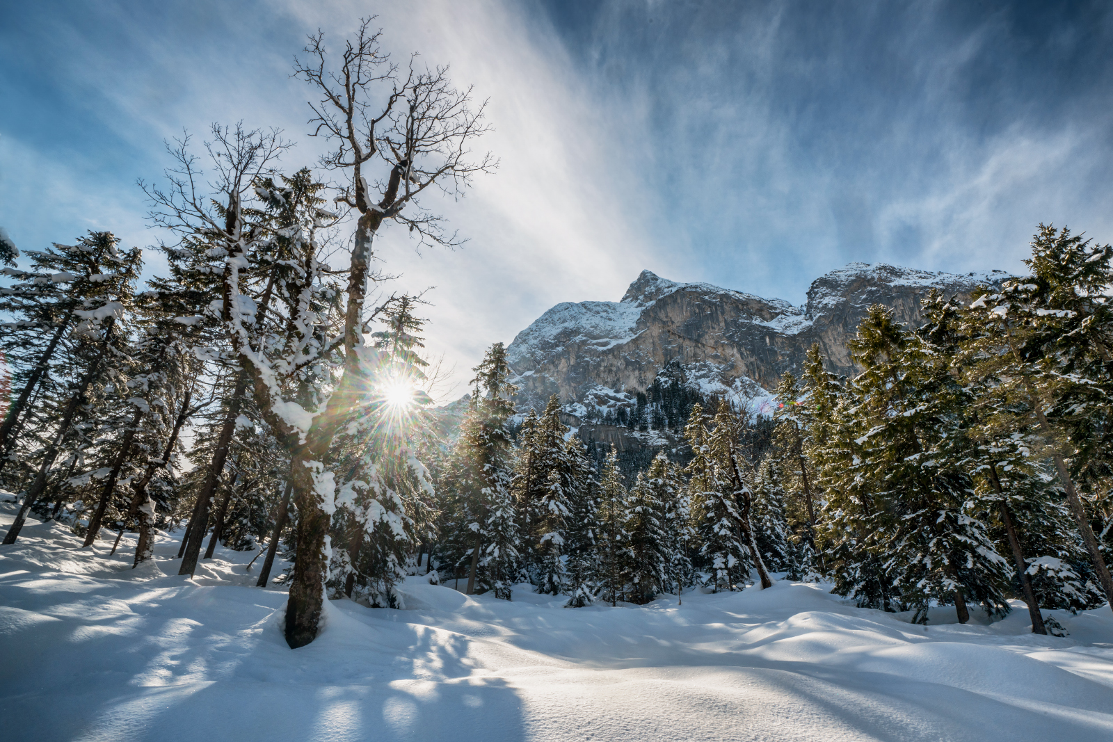 Winter Wonderland im Rißtal