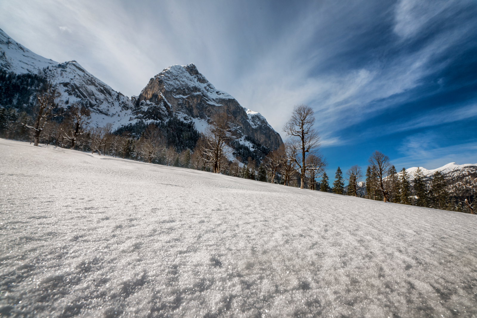 Ahornbäume im Karwendel