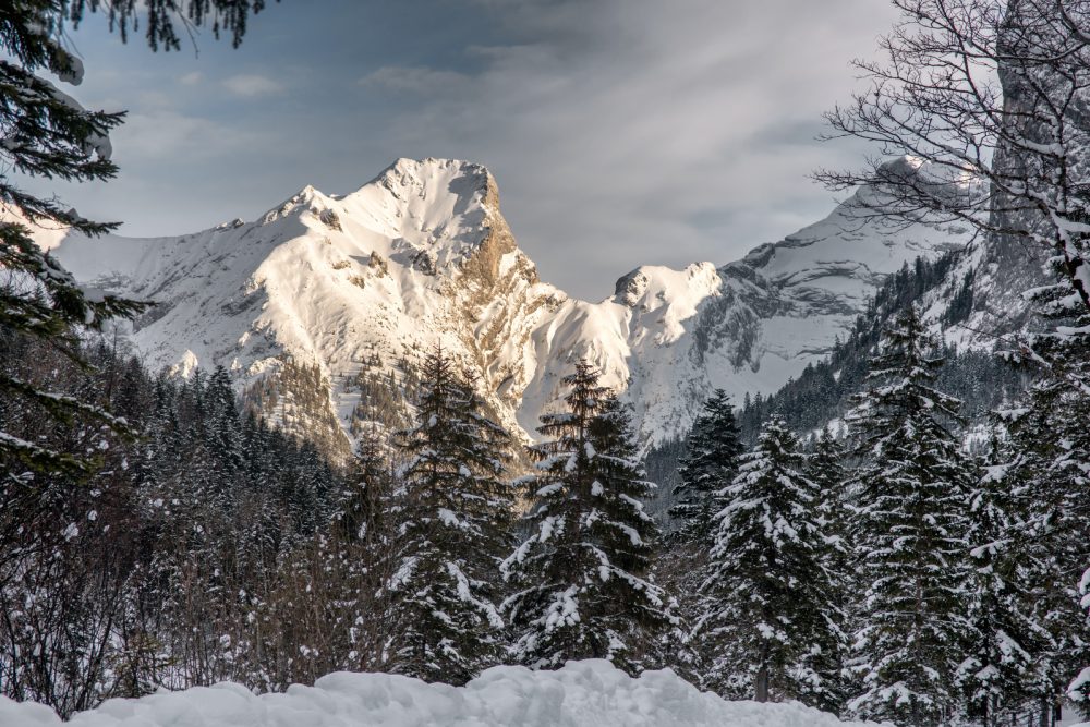 Die Schaufelspitze