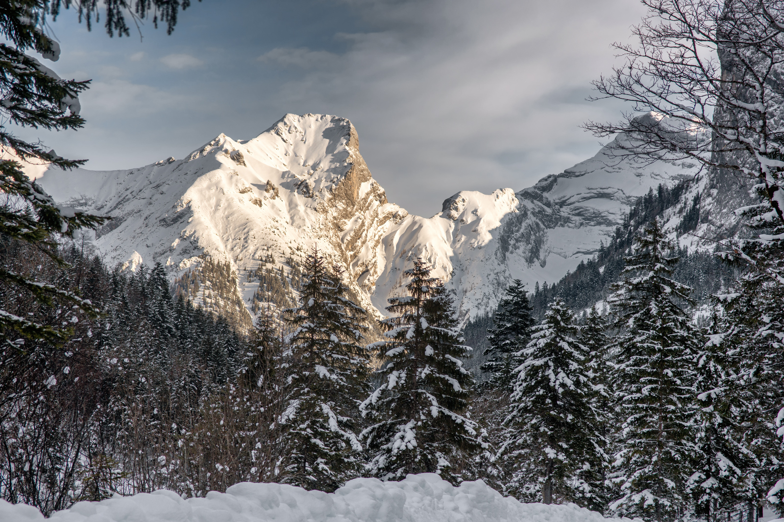 Die Schaufelspitze
