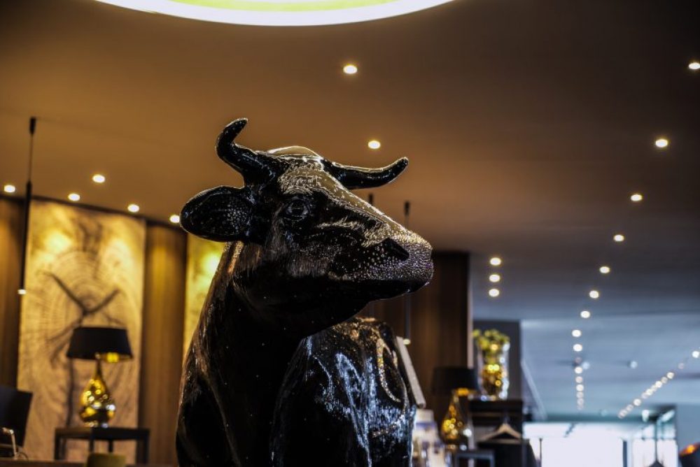 Standing proud in the lobby is the fabulous Mooshaus cow.