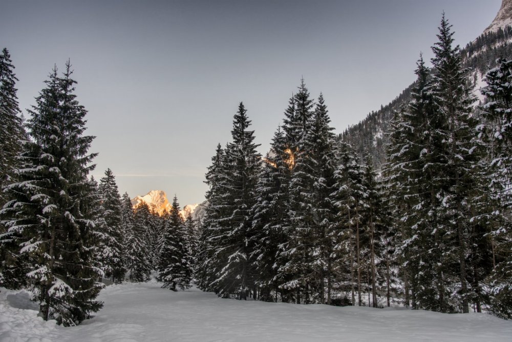 Letzte Sonnenstrahlen im Rißtal